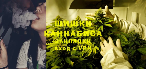 молекула духа Алзамай