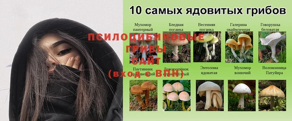 каннабис Алексин
